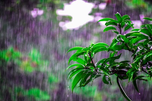 陆经年全文阅读